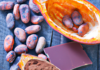 “Suiza y el Chocolate: El Arte del Emprendimiento Sin Cacao”.