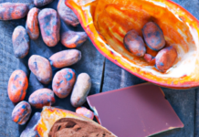 “Suiza y el Chocolate: El Arte del Emprendimiento Sin Cacao”.