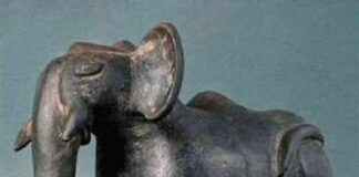 El elefante milenario de Tiahuanaco.