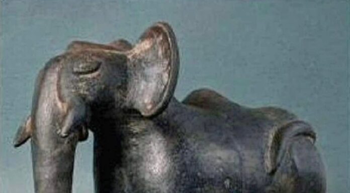 El elefante milenario de Tiahuanaco.