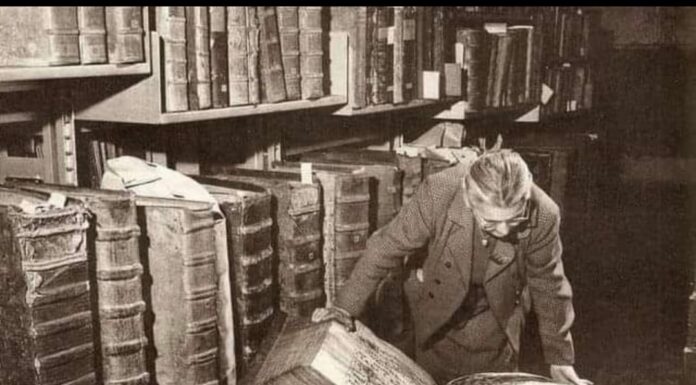 Los Libros Gigantes.
