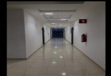 Venciendo al gigante: El rol de la Psicología en la lucha contra el cáncer.