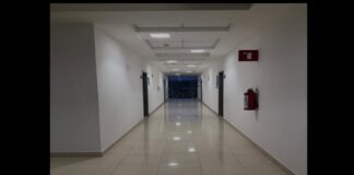 Venciendo al gigante: El rol de la Psicología en la lucha contra el cáncer.