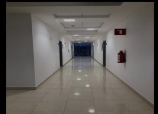 Venciendo al gigante: El rol de la Psicología en la lucha contra el cáncer.