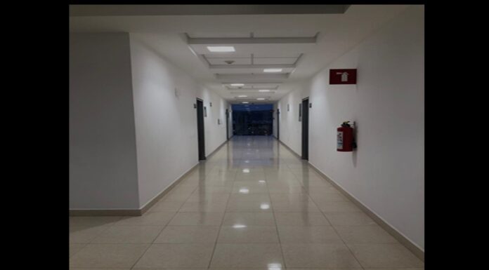 Venciendo al gigante: El rol de la Psicología en la lucha contra el cáncer.