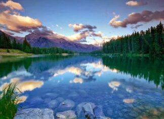 Reflexión y acciones….