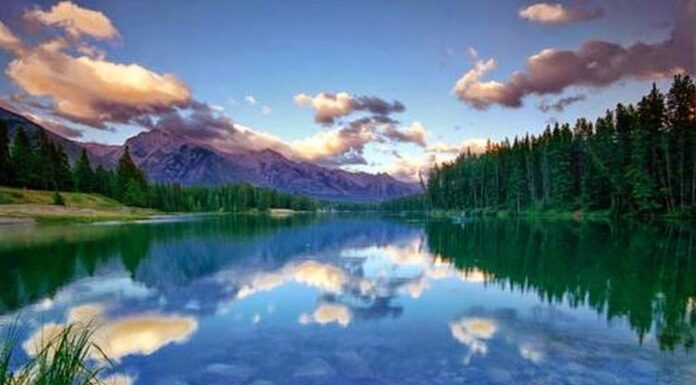 Reflexión y acciones….