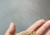 La Piedra Pómez: Etimología, Usos y Propiedades de Flotación.