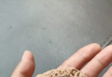 La Piedra Pómez: Etimología, Usos y Propiedades de Flotación.