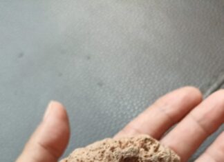 La Piedra Pómez: Etimología, Usos y Propiedades de Flotación.