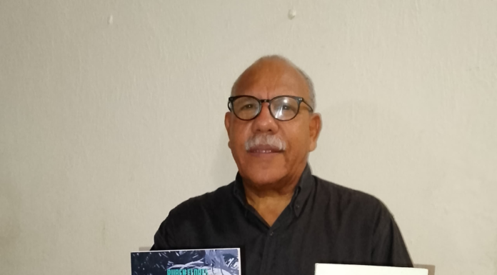 Breve sinopsis de la obra. Paradigma cualitativo perspectiva de investigación. Autor Rubén Flores.