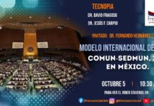 Modelo Internacional de la ONU