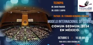Modelo Internacional de la ONU