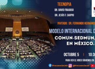 Modelo Internacional de la ONU