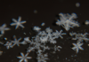 “Simetría y Diversidad: La Matemática Detrás de los Copos de Nieve”