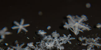 “Simetría y Diversidad: La Matemática Detrás de los Copos de Nieve”