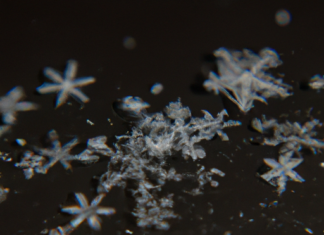 “Simetría y Diversidad: La Matemática Detrás de los Copos de Nieve”