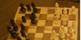 “El Juego del Orden y el Desorden: Simetría, Armonía y Caos en el Ajedrez”.