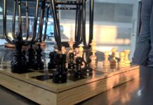 “Más Allá de las Piezas: El Ajedrez Como Práctica Zen”