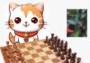 “El Juego del Equilibrio: La Partida Zen entre el Gatito Ajedutin y la Colibrí Marthuchix”