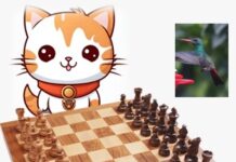 “El Juego del Equilibrio: La Partida Zen entre el Gatito Ajedutin y la Colibrí Marthuchix”