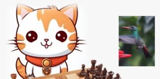 “El Juego del Equilibrio: La Partida Zen entre el Gatito Ajedutin y la Colibrí Marthuchix”