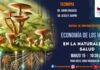 En Vivo – Economía de los Hongos en la Naturaleza y Salud