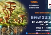 En Vivo – Economía de los Hongos en la Naturaleza y Salud