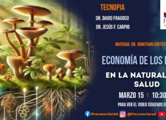 En Vivo – Economía de los Hongos en la Naturaleza y Salud