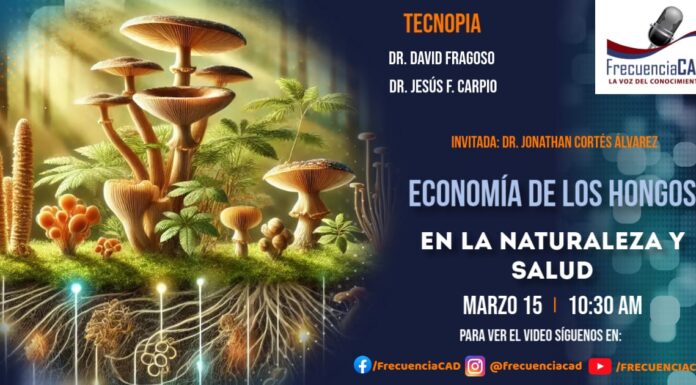 En Vivo – Economía de los Hongos en la Naturaleza y Salud