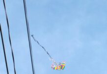 El vuelo del papalote: condiciones aerodinámicas y su impacto en la formación de vocaciones científicas hacia la aeronáutica y la exploración aeroespacial.
