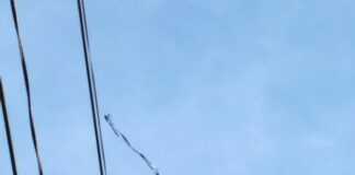 El vuelo del papalote: condiciones aerodinámicas y su impacto en la formación de vocaciones científicas hacia la aeronáutica y la exploración aeroespacial.