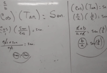 Reglas praxiológicas basadas en tautologías para la enseñanza de las funciones trigonométricas fundamentales.