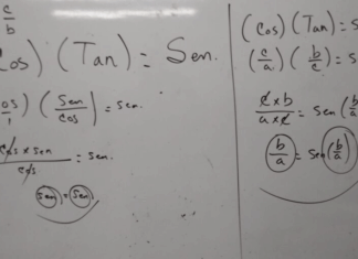 Reglas praxiológicas basadas en tautologías para la enseñanza de las funciones trigonométricas fundamentales.