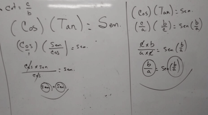 Reglas praxiológicas basadas en tautologías para la enseñanza de las funciones trigonométricas fundamentales.