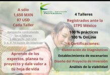 Aprende de los expertos, planea tu proyecto y dale valor a tu hoja de vida.
