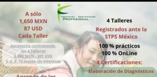 Aprende de los expertos, planea tu proyecto y dale valor a tu hoja de vida.