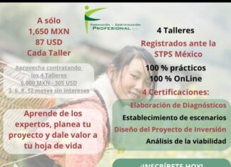 Aprende de los expertos, planea tu proyecto y dale valor a tu hoja de vida.