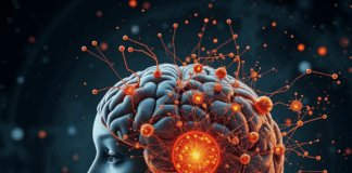 “El Tapiz y el Cerebro: Resonancias de Información en la Geometría del Universo”