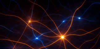 “Entre el Campo y la Luz: Reflexiones Filosóficas y Matemáticas sobre la Electrodinámica Cuántica”