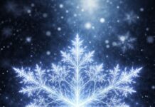 Fractales: la elegancia del infinito y el lenguaje oculto de la naturaleza.
